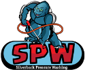 Silverback Pressure Washing